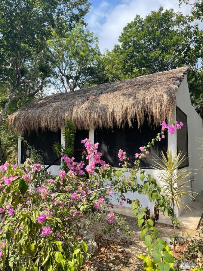 Maya Eco Village Akumal Eksteriør billede